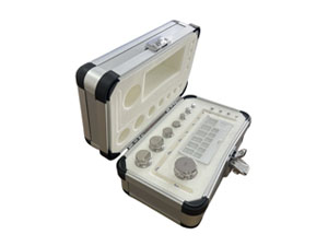 Stainless Steel Weight