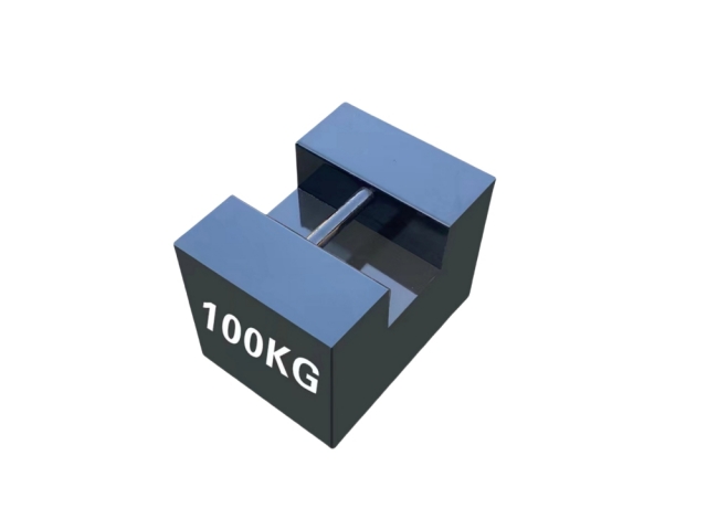 100kg Steel Plated Iron Weight